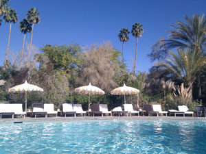 the parker palm springs pool