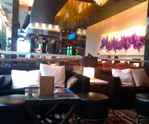 the aria lobby and lounge continued
