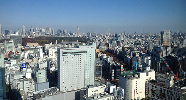 cerulean tower view from guest room