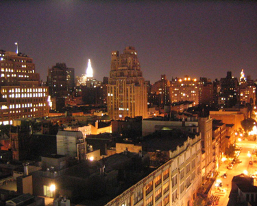 hotel gansevoort rooftop view