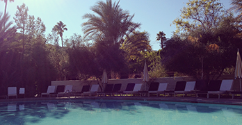 parker palm springs hotel pool