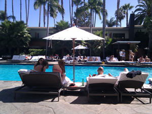 the roosevelt hotel pool