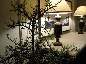 photo of the hallway in the beach entrance to shutters on the beach