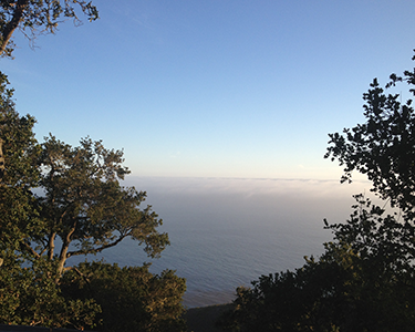 big sur pacific ocean view from nepenthe restaurant